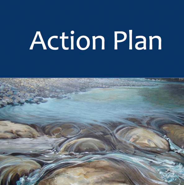 Sustainability Action Plan framework for action